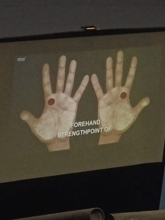 Seminár tenisových trénerov (6)